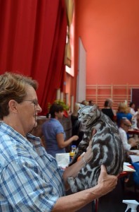 10441343_737464689650791_4930256121475656239_n