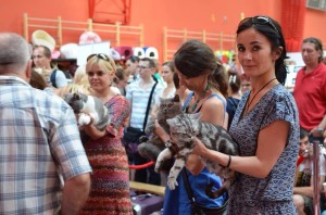 10584034_737464482984145_3392075967173040743_n