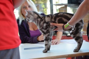 10668305_934579676568856_833943112_n