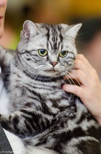 10420099_633883590051373_6285509144544429467_n