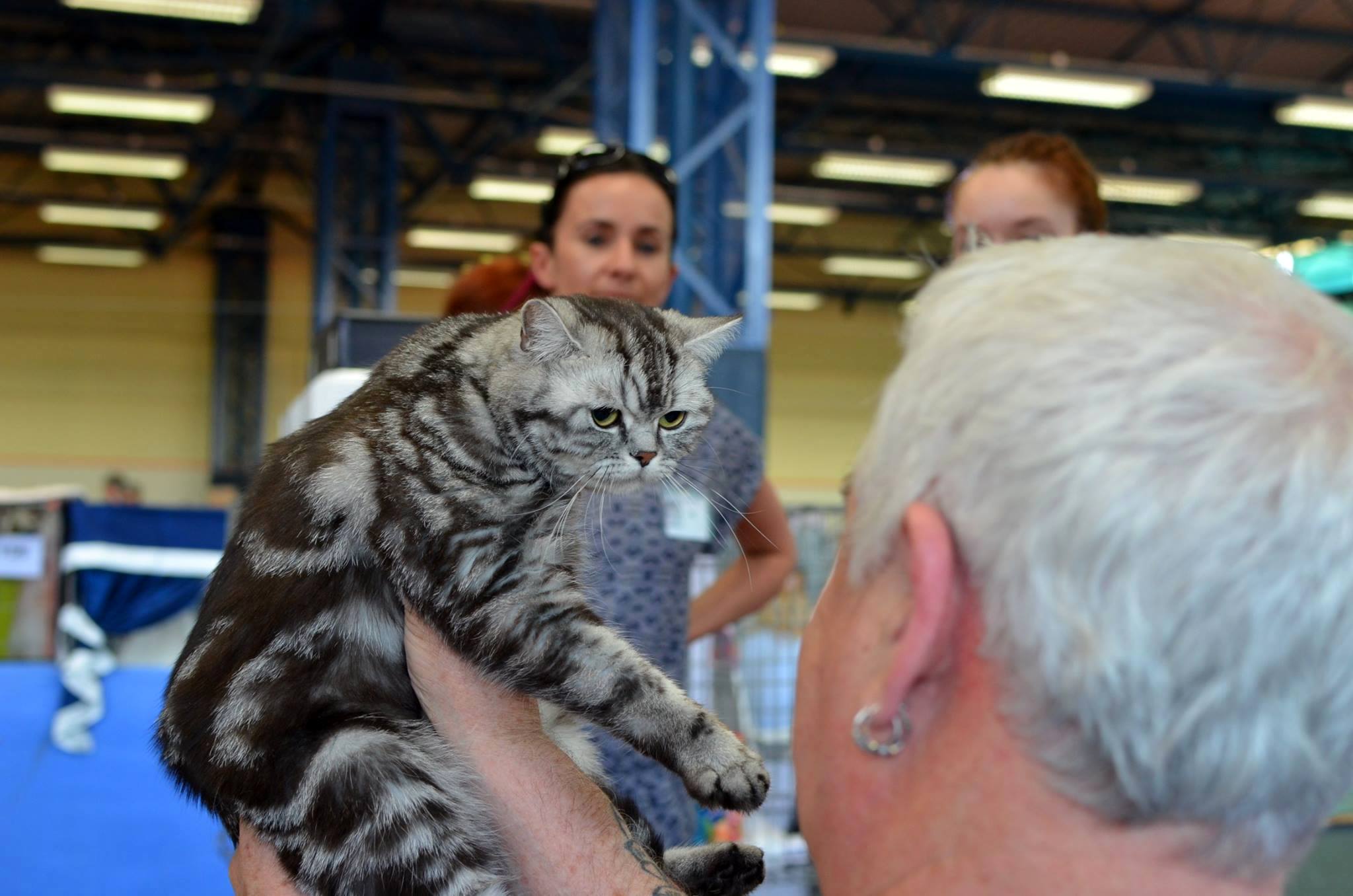 11664121_1124447780915377_1039617887_o